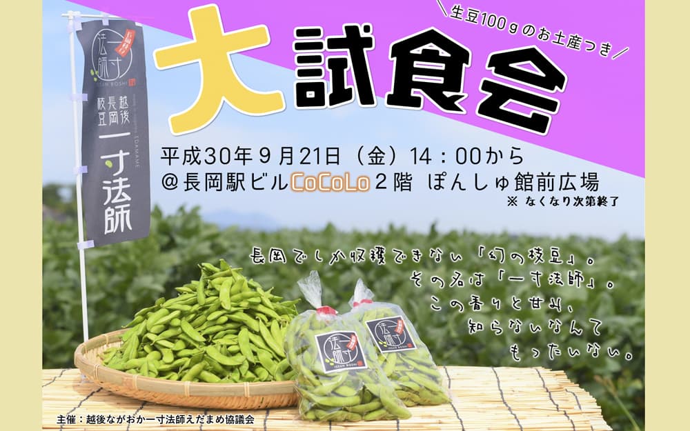 無料配達 枝豆の塩煮○ 保育教材6点 クラフト/布製品 - ciodensfuels.com